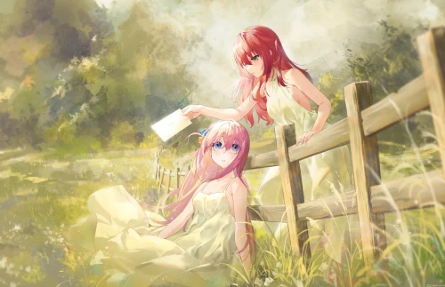 d6nw.webp